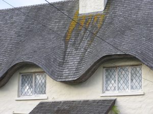 A Damaged Roof Needing Repair or Replacement