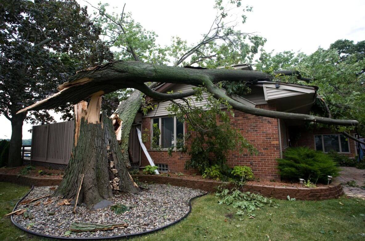 house roof damaged by tree