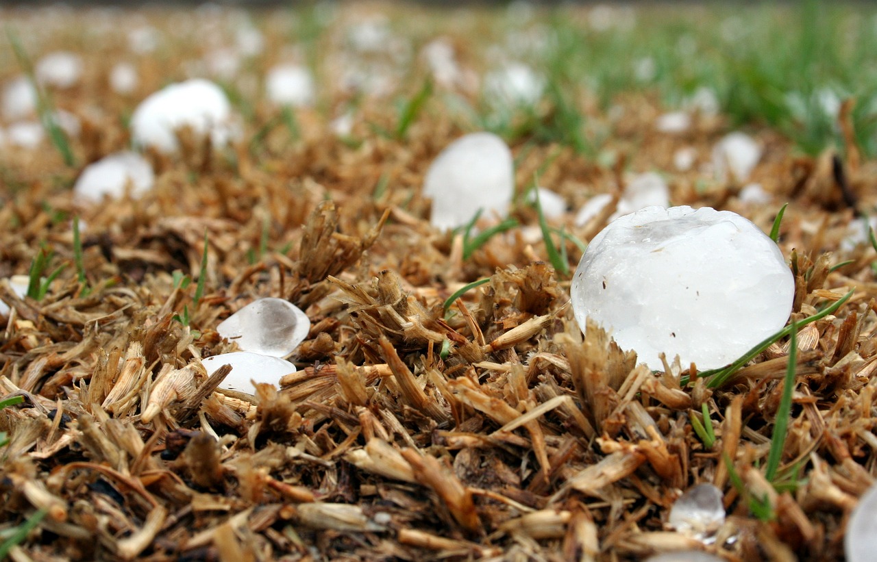 hailstone in North Texas